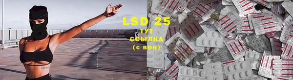 ешки Заволжье