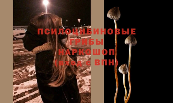 МДПВ Заволжск