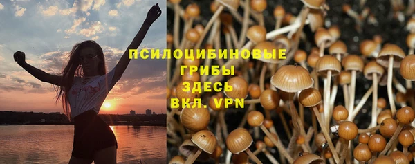 ешки Заволжье
