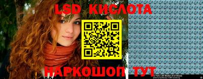 крисы Камышлов