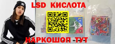 крисы Камышлов
