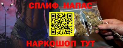 крисы Камышлов