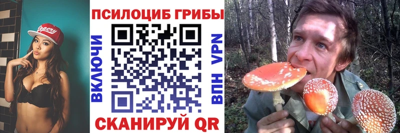 hydra зеркало  Протвино  Галлюциногенные грибы Psilocybe 