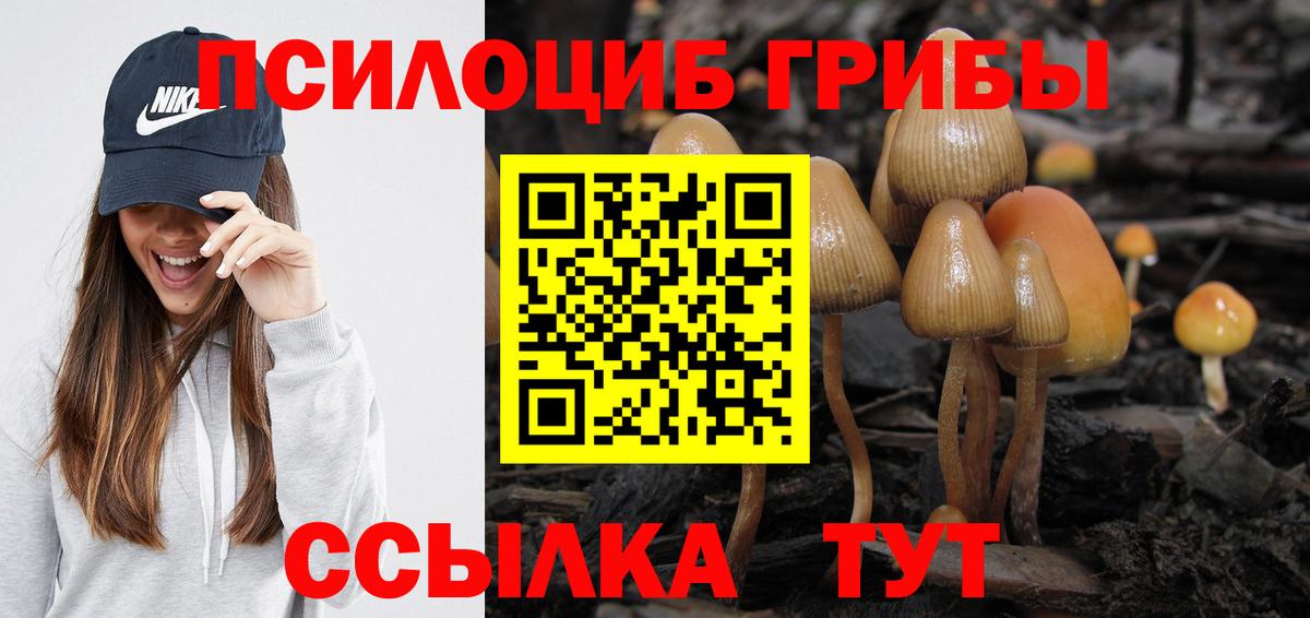 Псилоцибиновые грибы GOLDEN TEACHER Протвино